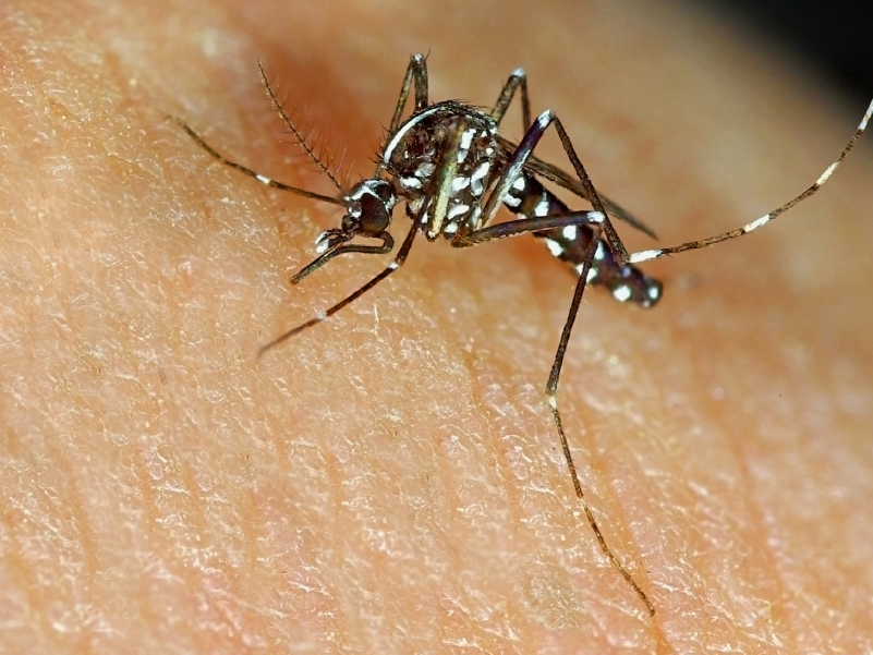 Malaria en Colombia