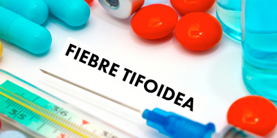 fiebre-tifoidea-mobile.png