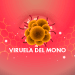 viruela-del-mono-mini.png